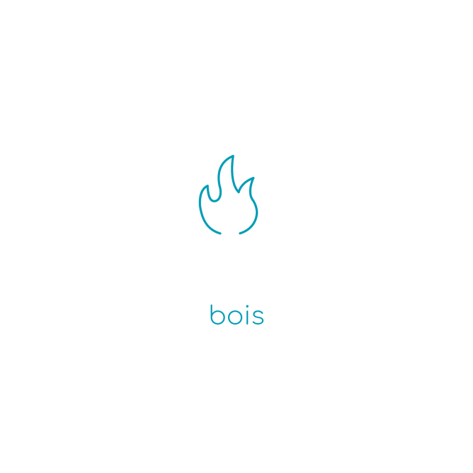Faîtes réviser votre Chaudière Bois / Granulés en prenant directement RDV !